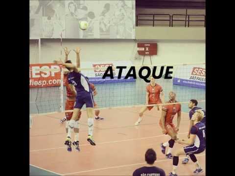 Rodrigues9 volleyball player
