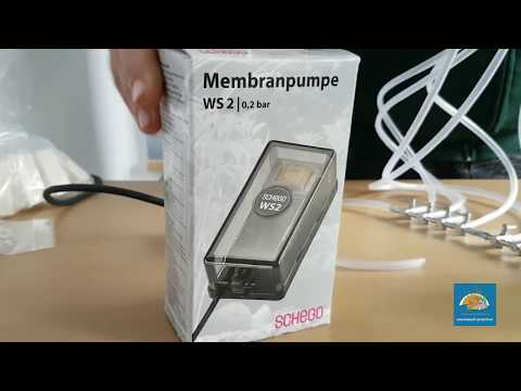 Watch Video on YouTube