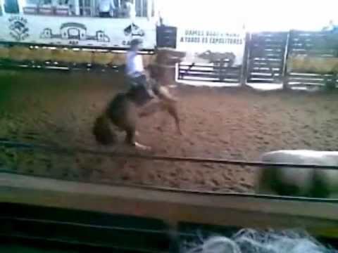 Copa proprietario cavalo crioulo - pelotas