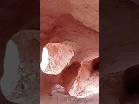 Morro do Macaco / Trindade - Pernambuco