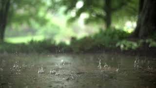 Drug INDUCED Rain Relaxation W/Motivating Subconscious Sounds