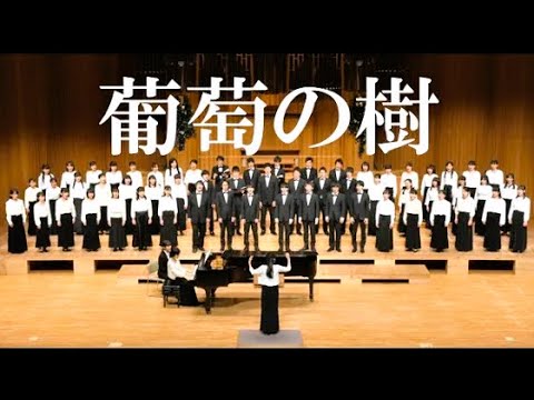 葡萄の樹 信長貴富