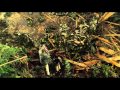 BANDE ANNONCE ALIEN VS PREDATOR 2