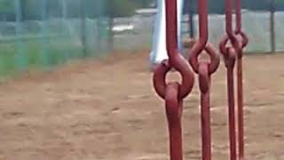 あの犬結構怖いんですよね
