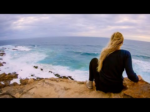 Exploring South Africa with The Great White Shark Project | The Great Projects