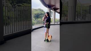 Download lagu Malingnya kasian🤣 mp3