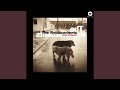 Merry Go Round (2008 Remaster)