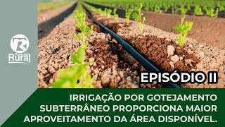 Irrigação por gotejamento subterrâneo — episódio 2