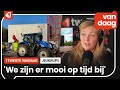 Bestrijding Eikenprocessierups op volle toeren: "Vorig jaar 300 meldingen van overlast"