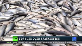 Genetically Engineered 'Frankenfish' Is Being Sued