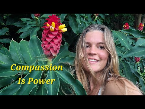 Energetic Nourishment to Bring You Strength through Softness& Silliness❤️Empowering Playfulness🍄