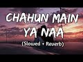 Chahun Main Ya Naa - | Slowed + Reverb | Lyrics | Aashiqui 2 | Use Headphones🎧