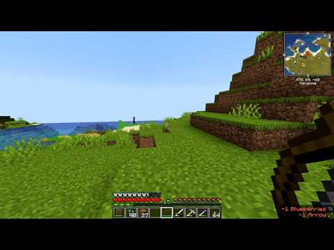 Enigmatica 4 || 5 ||  The Useless Moments