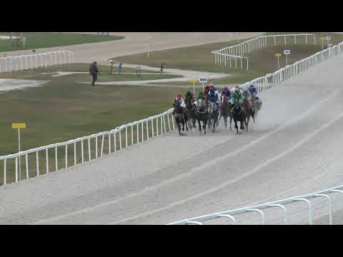 2018.10.28. 04. futam - BAYER ANDRÁS EMLÉKVERSENY HENDIKEP (IV.o.) (szintetikus pálya)