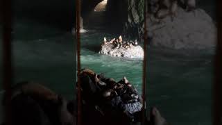 Sea lions droning in the Sea Lion Cave in Oregon