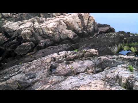 40 Steps Beach in Nahant, MA.