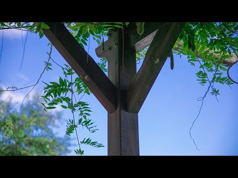 The Runes: Algiz ‮ᛉ‬