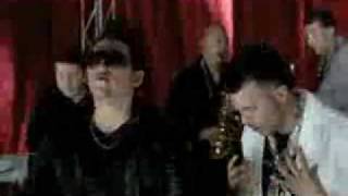 Alacranes Musical - Fue su amor 2009