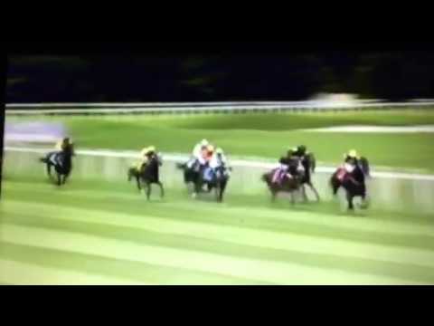 Vareze Sieg in München Nockherberg, Duke of Marmalade, Deauville Lot: 0517