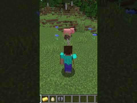 Mine_vs - A staff that summons bone hands from the ground in Minecraft #Shorts