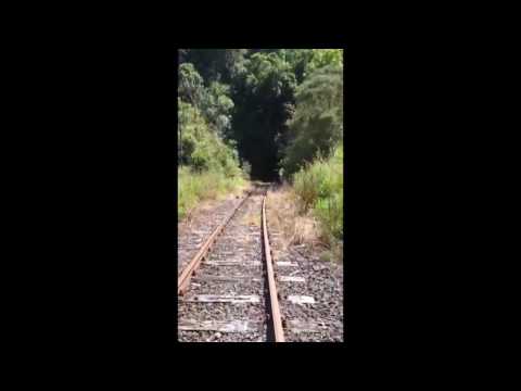 Brandidentity 'Forgotten World Adventure'