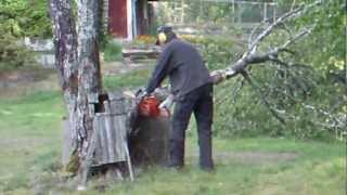 preview picture of video 'Alf Davidsson - Cutting down a tree (Powerflex 500 test)'