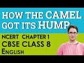 Chapter 1 How The Camel Got His Hump English It So Happened CBSE NCERT Class 8