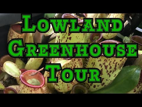 Lowland Greenhouse Jungle Tour: Nepenthes, Orchids and more! #Bradsgreenhousetour
