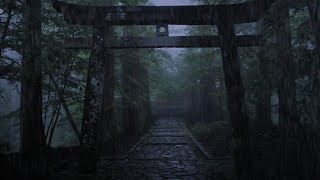 Download lagu Beautiful Relaxing Rain Japanese Forest Torii - Relieve All Anxiety and Stress Chill mp3 Download lagu Beautiful Relaxing Rain Japanese Forest Torii - Relieve All Anxiety and Stress Chill mp3