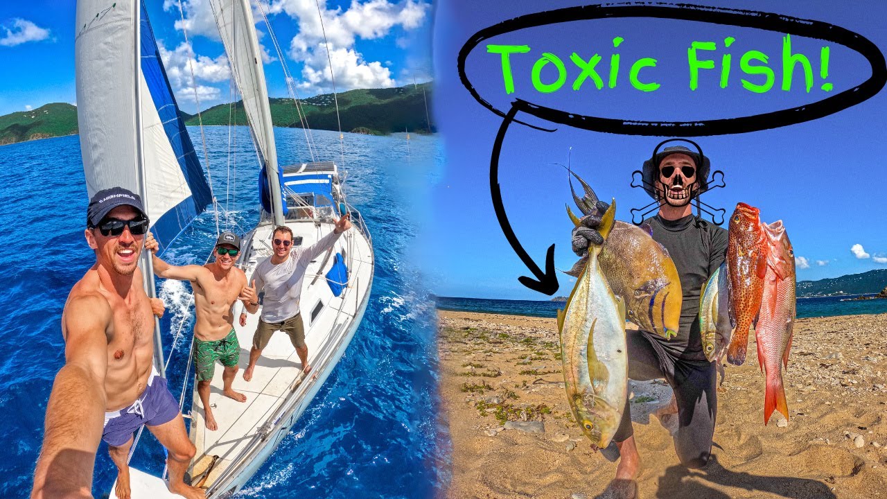Sailing, Spearfishing, & Toxic Fish!!!!