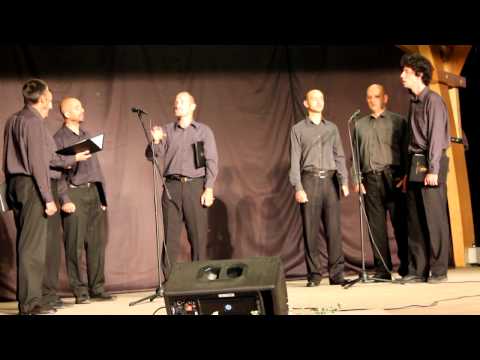 Srpski hor Sv. Serafim Sarovski - Ja sam rođen tamo na salašu