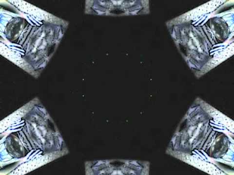 LADY LARISSA - THE NATURE IS THE FUTURE.mpg