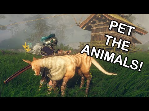 Top Beginner Tips for Wild Hearts