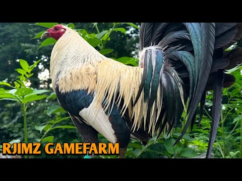 Grey Mclean Hatch Sweater - RJIMZ FARM