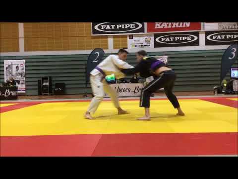 FLYING TRIANGLE HIGHLIGHT 2017