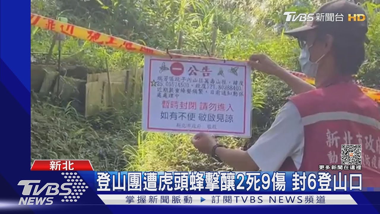登山團遭虎頭蜂擊釀2死9傷 封6登山口