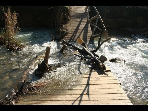 pokemon negro ruletalocke: Capitulo 16. Puente sin progreso