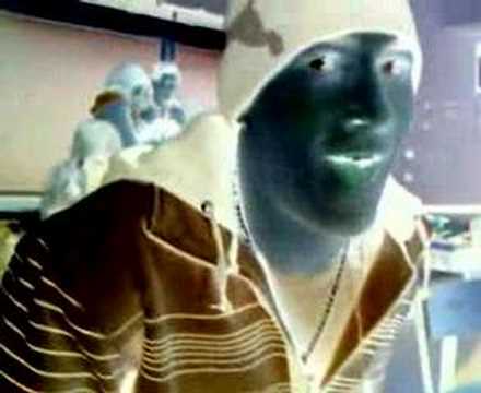 O rapaz que pensa que é a Rosa Brava!