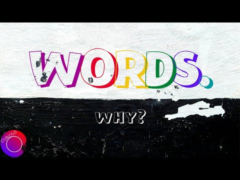 Where Does Language Come From ?