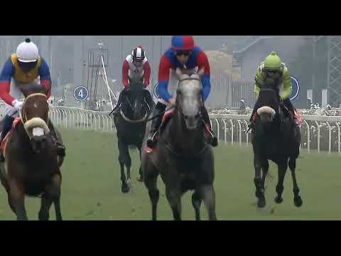 MASTER ARCHIE - 2022 Man O'War Sprint