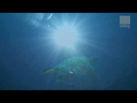 Martin Kratzenstein - Starting Point