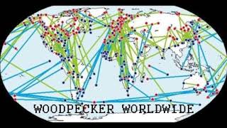 RSP - Woodpecker Worldwide 001 - Barker und Rüdiger