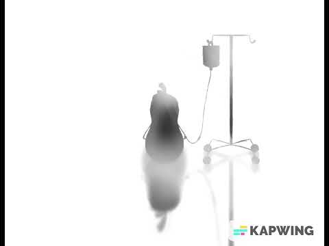 Estranger // PANS/PANDAS Awareness