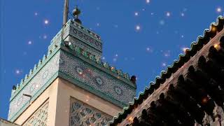 preview picture of video 'Jules Jaurinata Travel to Fez Morocco'