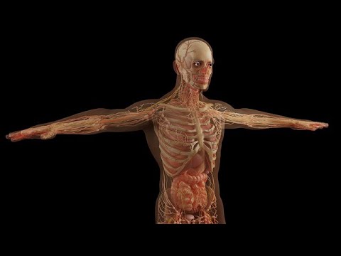 661-ES Elena, después de la vida física - Freddy Marin Hipnosis Regresiva Team Grifasi