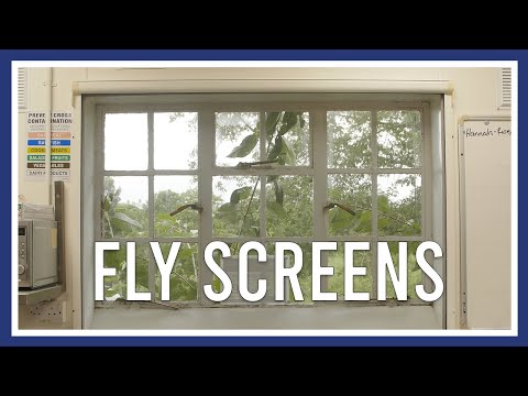 Fly Screens