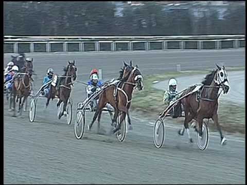 Trotto 20/01/2017 - 4ª corsa