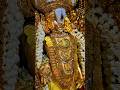 Govinda Hari Govinda Live Balaji Aarti Status Govinda