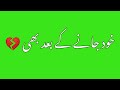 Urdu Sad Status Green Screen Status Urdu Urdu Sad Poetry Green Screen720p