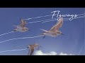FLYWAYS : The untold journey of migratory shorebirds.  Official Trailer [April 2023]